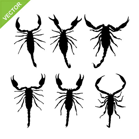scorpions silhouettesのイラスト素材