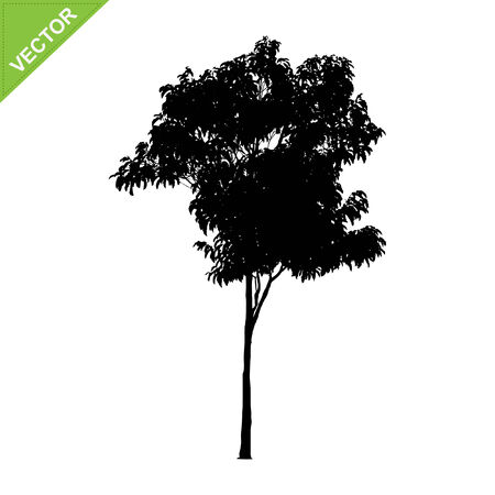 Tree silhouettes のイラスト素材