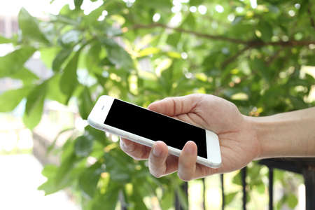 Hand holding mockup smartphone with tree backgroundの写真素材