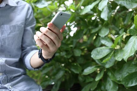 Man using smartphone with holding coffe paper cup with green leaves backgroundの写真素材
