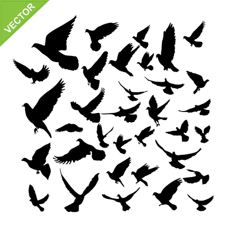 Flying birds silhouette vectorのイラスト素材
