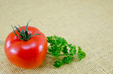 Raw tomato on a covered table with fresh parsleyの写真素材
