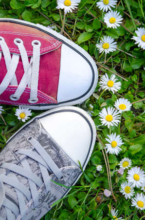 Two different sneakers in the gras with daisies