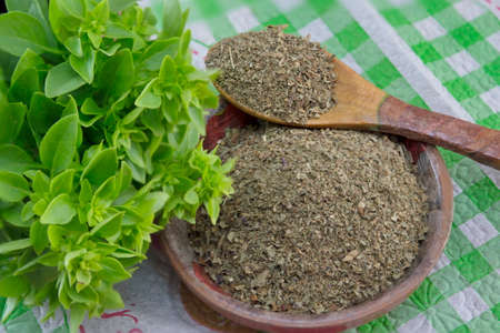 Dried and fresh basil arranged on a table in old kitchen bowlの写真素材
