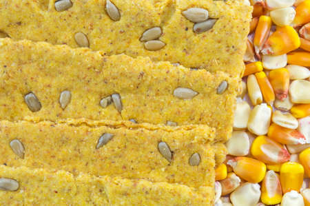 Crunchy oat thins with sunflower surrounded with dried corn grainsの写真素材