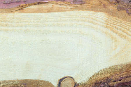 Natural raw and unprocessed wooden board backgroundの写真素材