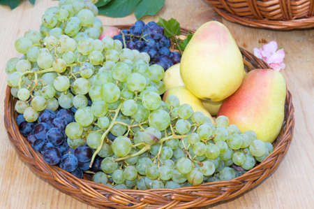 Fresh plums, grapes and pears in wooden basket. Fruit picking seasonの写真素材