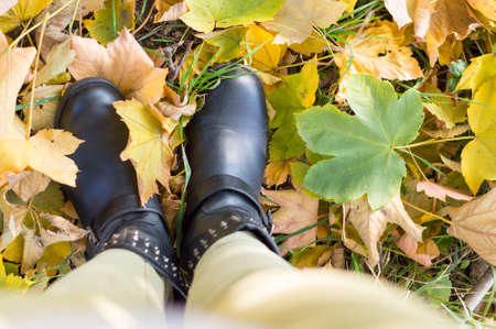 My autumn view. Autumn fashion abstract. Fallen leavesの写真素材