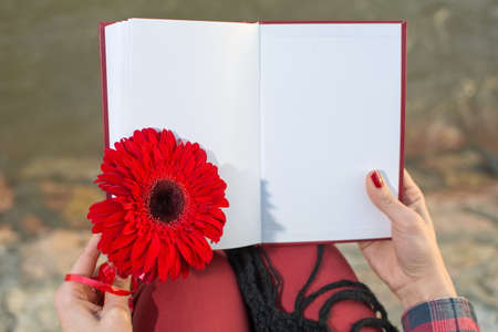 Romantic girl with a book by the river bank holding red flowerの写真素材
