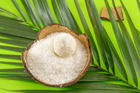Coconut powder and dessert in coconut shell on greenの写真素材