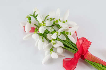 Romantic snowdrops bouquet on white backgroundの写真素材