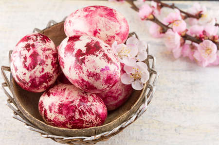 Decorated Easter eggs and fresh cherry blossom treeの写真素材