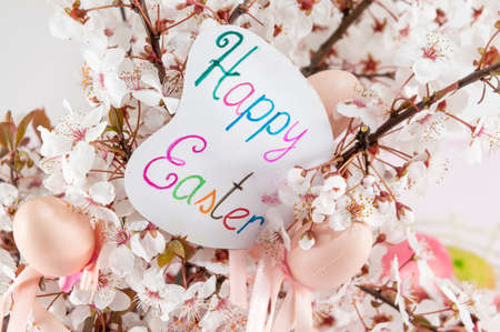 Easter card with cherry blossom flowers and painted easter eggsの写真素材