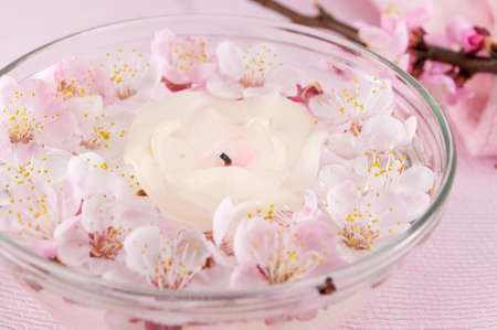 Cherry blossom flowers in a bowl of waterの写真素材