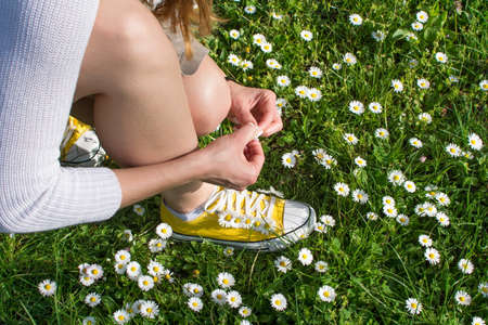 Woman picking daisies in a daisy fieldの写真素材