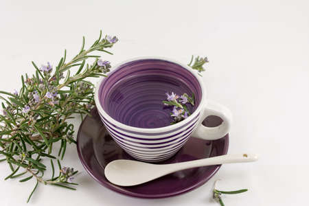 Rosemary tea with fresh rosemary flowers scatteredの写真素材