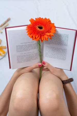 Woman holding an orange gerbera flower in bedの写真素材