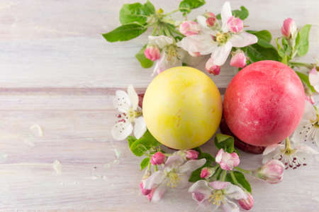 Painted Easter eggs and spring flowers