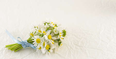Chamomile bouquet on white textileの写真素材