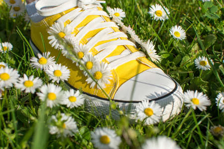 Yellow sneakers decorated with daisies in a dasiy field