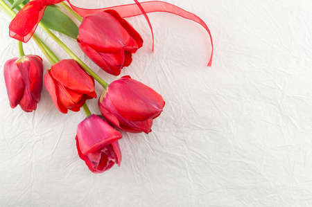 Red tulips on a silky white fabricの写真素材