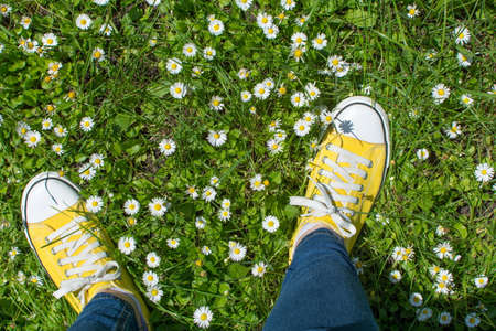Yellow sneakers in a dasiy field. First person point of view