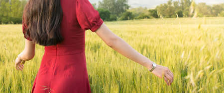 Fashionable girl in a wheat field wearing red dressの写真素材