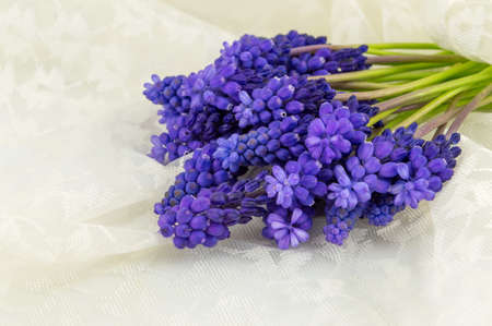 Hyacinth flowers bouquet on a soft silk textileの写真素材