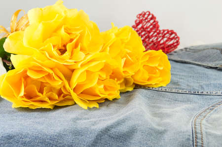 Yellow roses in full blossom placed on denim jeansの写真素材