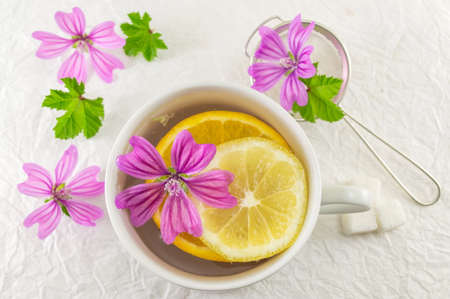 Malva sylvestris, mallow, tea with lemon and fresh flowersの写真素材
