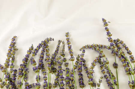 Lavender flower branches on a white fabricの写真素材