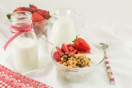 Granola, fresh strawberries and milk. Healthy breakfast ingredients