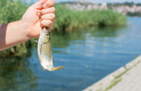 Fishermans hand holding freshly cought fish by the lake