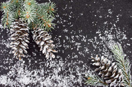 Pinecones and fir tree on sparkling background. Christmas decoration backgroundの写真素材