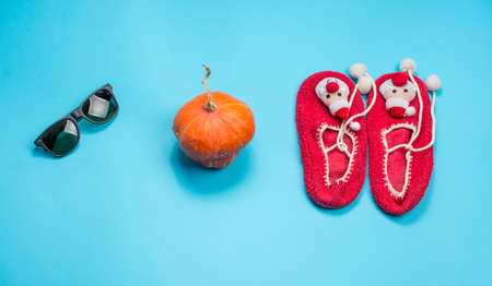 Changing seasons abstract. Objects from summer to winter timeの写真素材