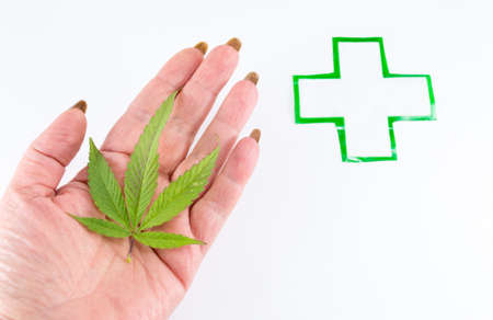 Cannabis plant and medical sign. Alternative medicine abstractの写真素材