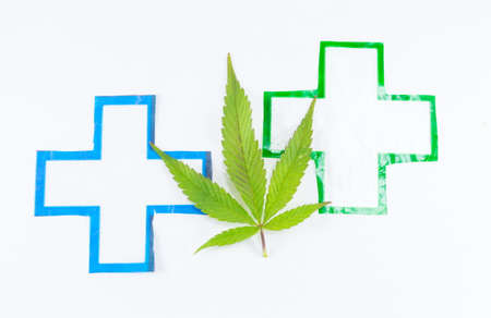Cannabis plant and medical sign. Alternative medicine abstractの写真素材