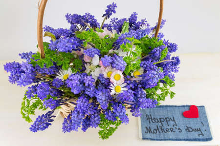 Bluebell flowers bouquet in a wicker basketの写真素材