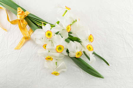 Narcissus flowers bouquet on white silk backgroundの写真素材