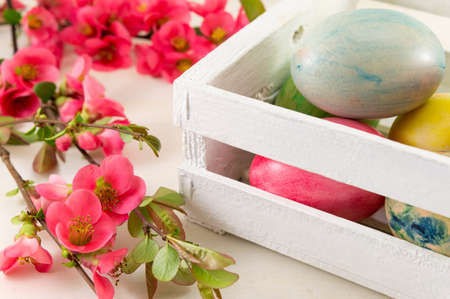 Painted Easter eggs and Japanese rose flowers in bloomの写真素材