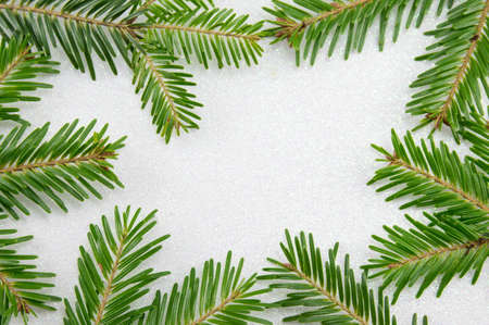 Fir tree branches on sparkling background. Christmas abstractの写真素材