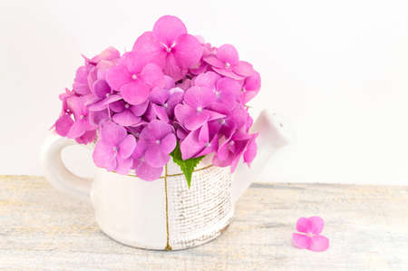 bunch of hortensia pink flowers in a decorative vase
