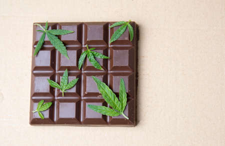 Marijuana leaves on top of dark chocolateの写真素材