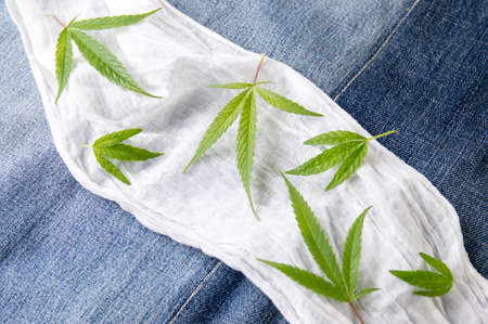 Bunch of marijuana plants on white fabric on denim backgroundの写真素材