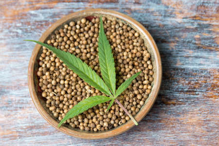 Marijuana plant and Cannabis seeds in a plateの写真素材