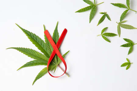 Marijuana leafs and fight cancer sign on white backgroundの写真素材