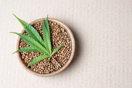 Marijuana plant and cannabis seeds on a plateの写真素材