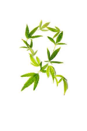 Fight cancer sign made from marijuana leaves and on whiteの写真素材