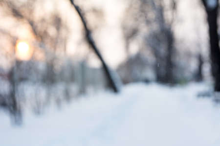 Winter scene blurry abstract backgroundの写真素材