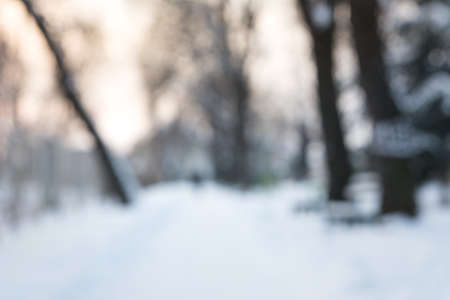 Winter scene blurry abstract backgroundの写真素材